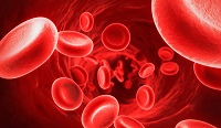 عوامل خطر آفرین لخته شدن خون